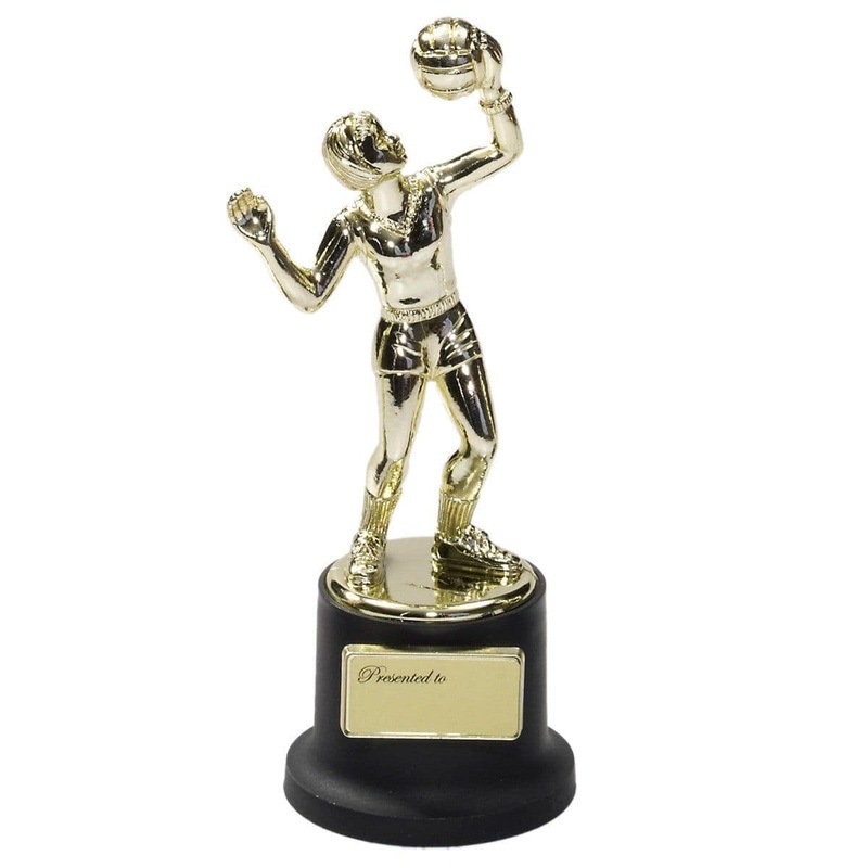 Volleyball Trophy