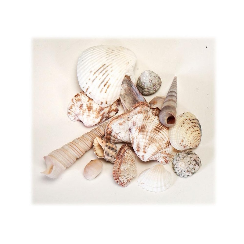 Seashells Assortment 150 g
