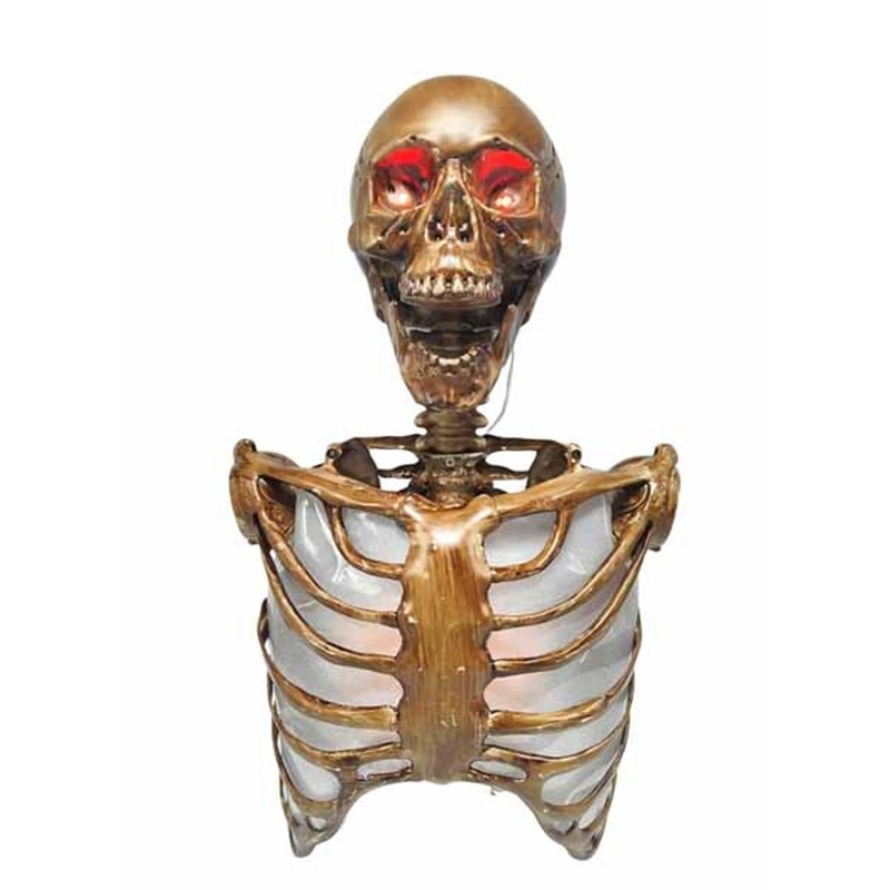 Skeleton with Light-Up Torso, 1 Count