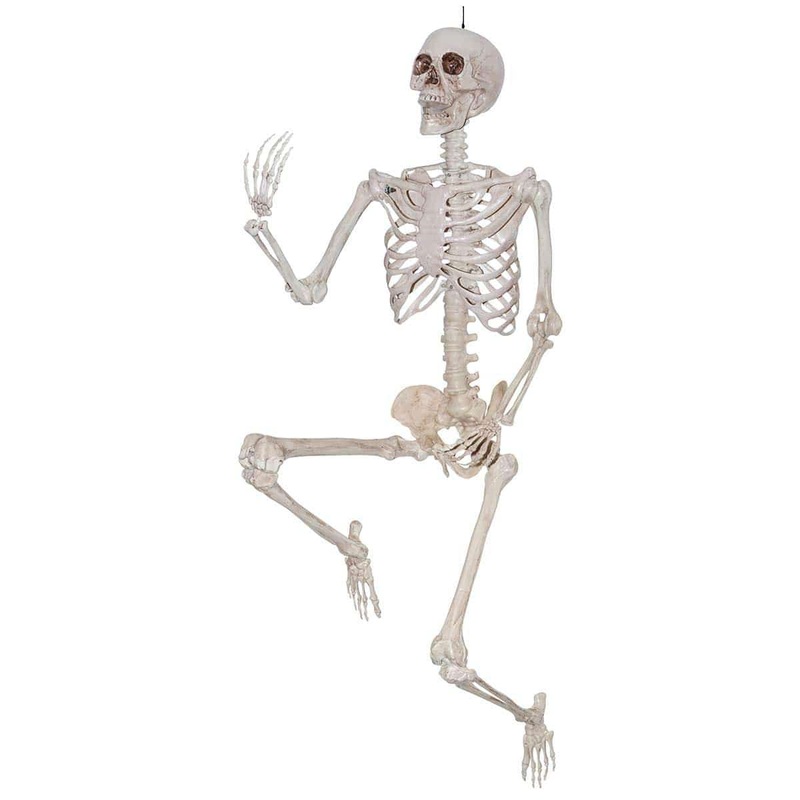 Realistic Pose "N" Stay Skeleton, 5 ft