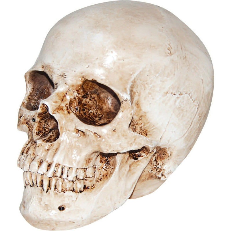 Resin Skull Head