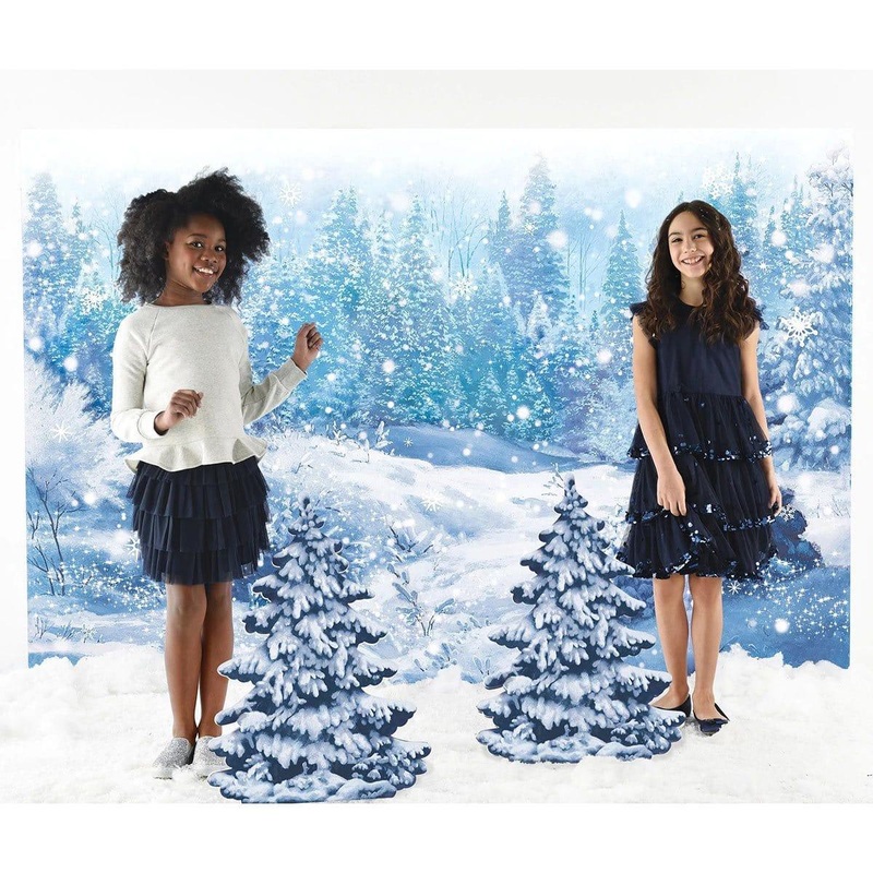 Winter Wonderland Deluxe Scene Setters