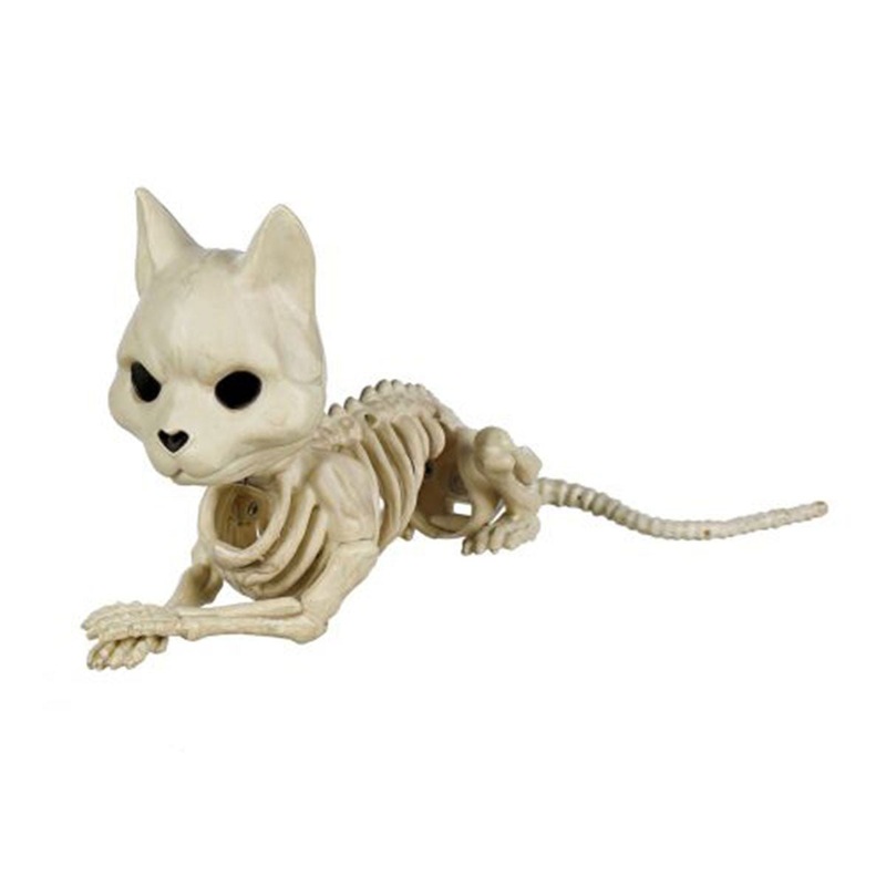 Cat Skeleton