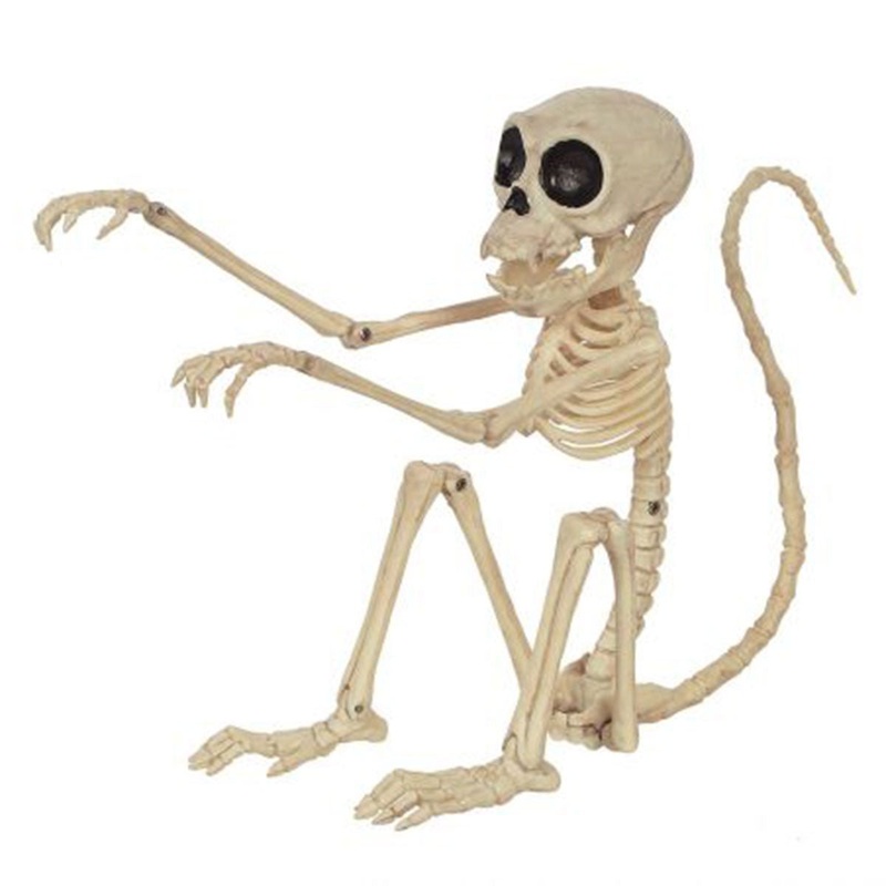 Monkey Skeleton 7.5 In.