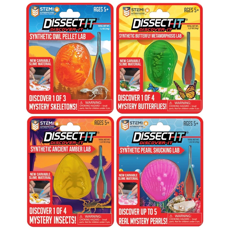 Dissect It, Discover It, 8 Inches, Assortment, 1 Count
