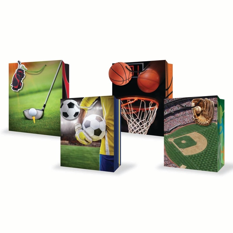 Large Sporty Gift Bag, Assortment, 1 Count