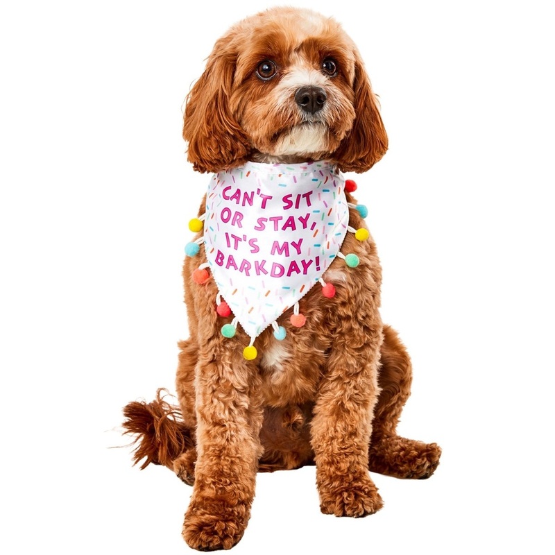 Sprinkle Birthday Bandana for Dogs S/M