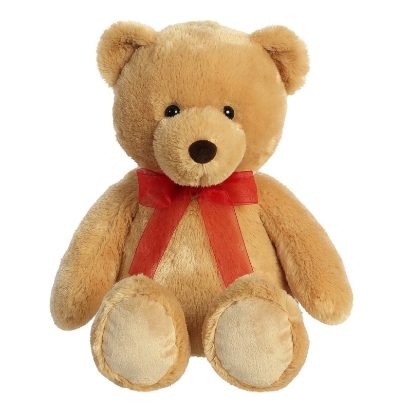 Valentine's Day Teddy Bear, 22 Inches, 1 Count