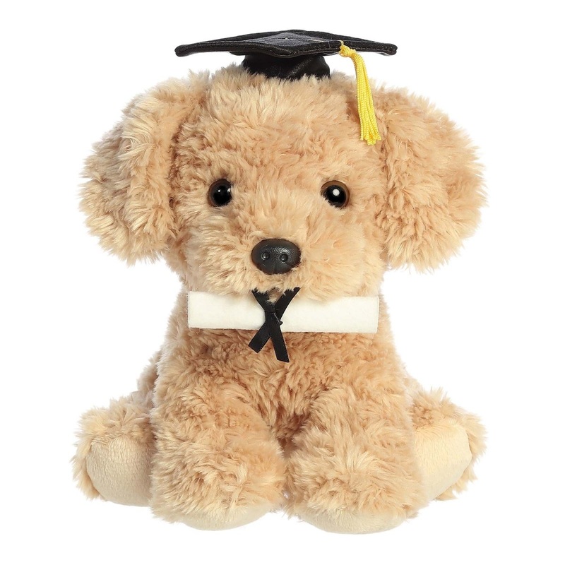 Graduation Pup Plush, 8 Inches, 1 Count