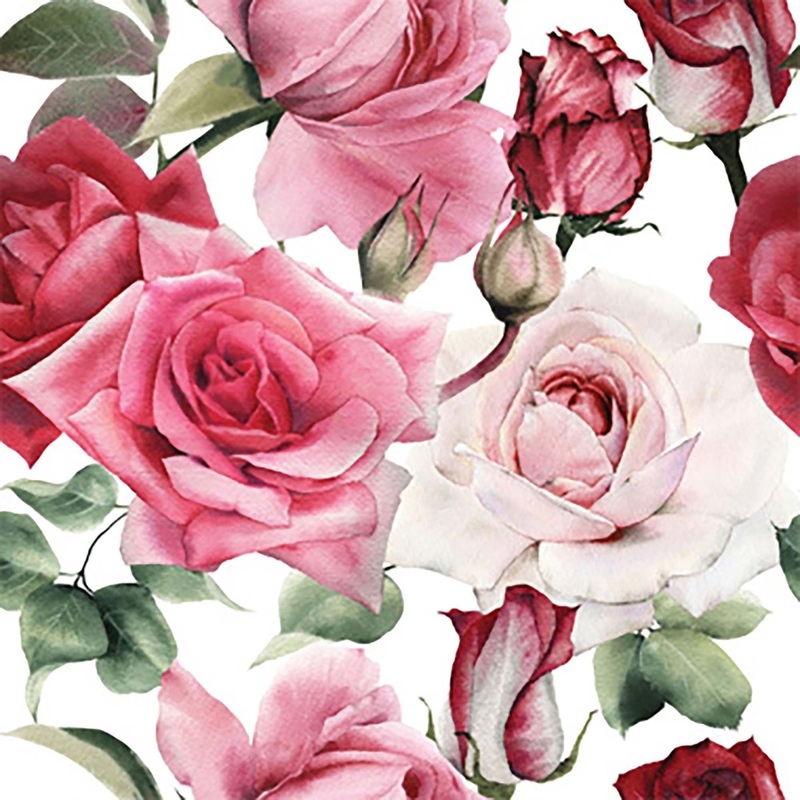 Roses Gift Wrap Roll, 30 x 72 Inches, 1 Count