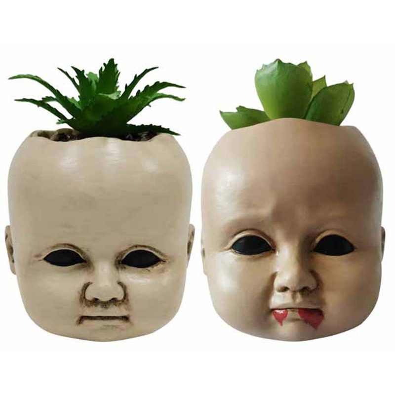 Creepy Doll Succulent, Assortment, 1 Count