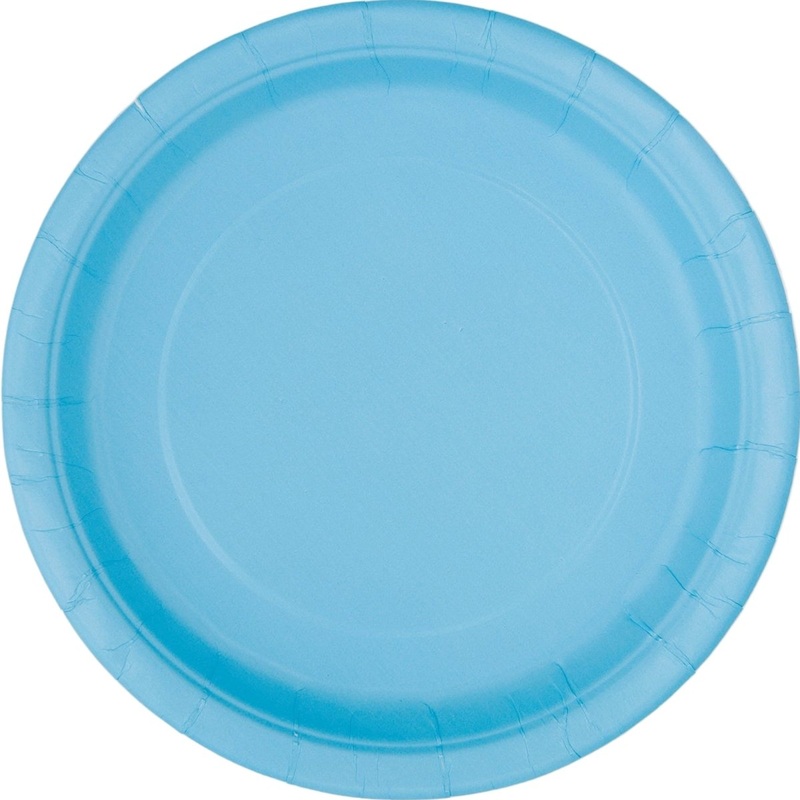 Light Blue Large Round Lunch Paper Plates, 9 Inches, 8 Count