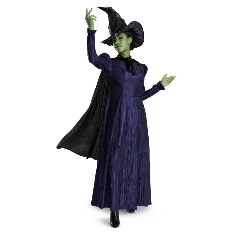 Wicked Elphaba Deluxe Costume for Adults, Purple Dress S