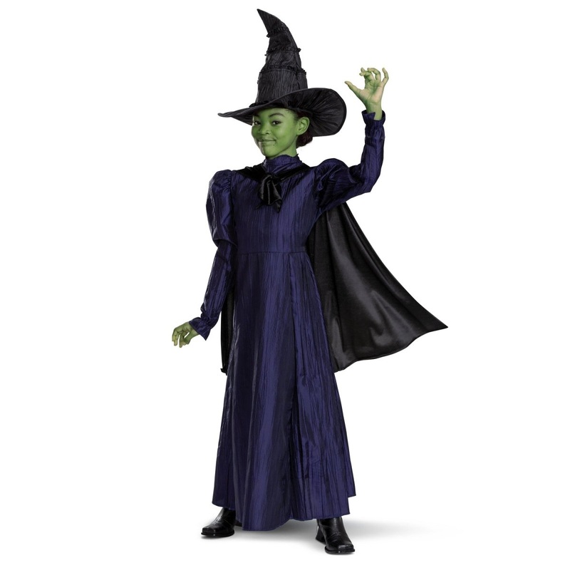 Wicked Elphaba Deluxe Costume for Kids, Purple Dress S