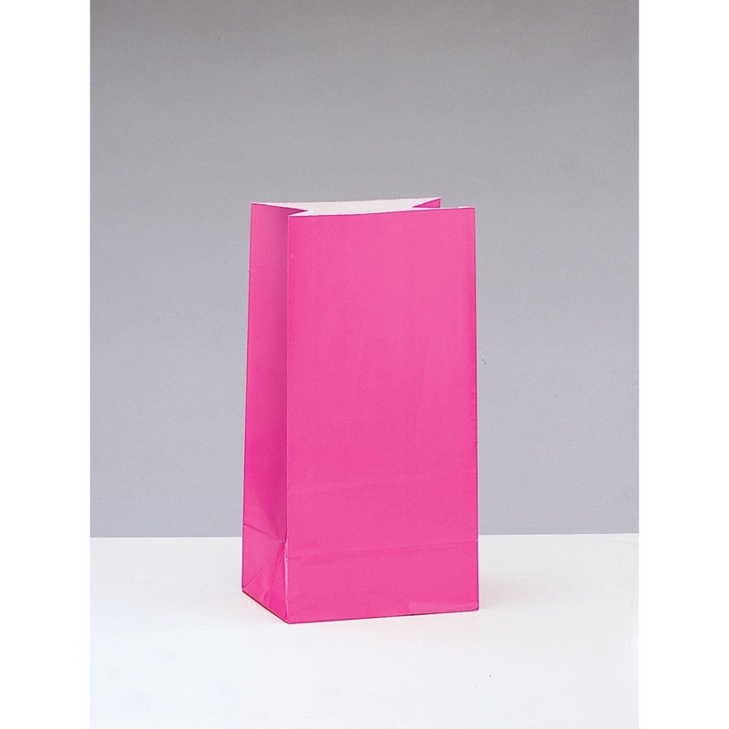 Hot Pink Paper Party Bags, 10 x 5 Inches, 12 Count