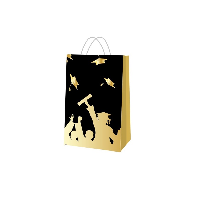 Graduation Surprise Paper Bags, 6 Count
