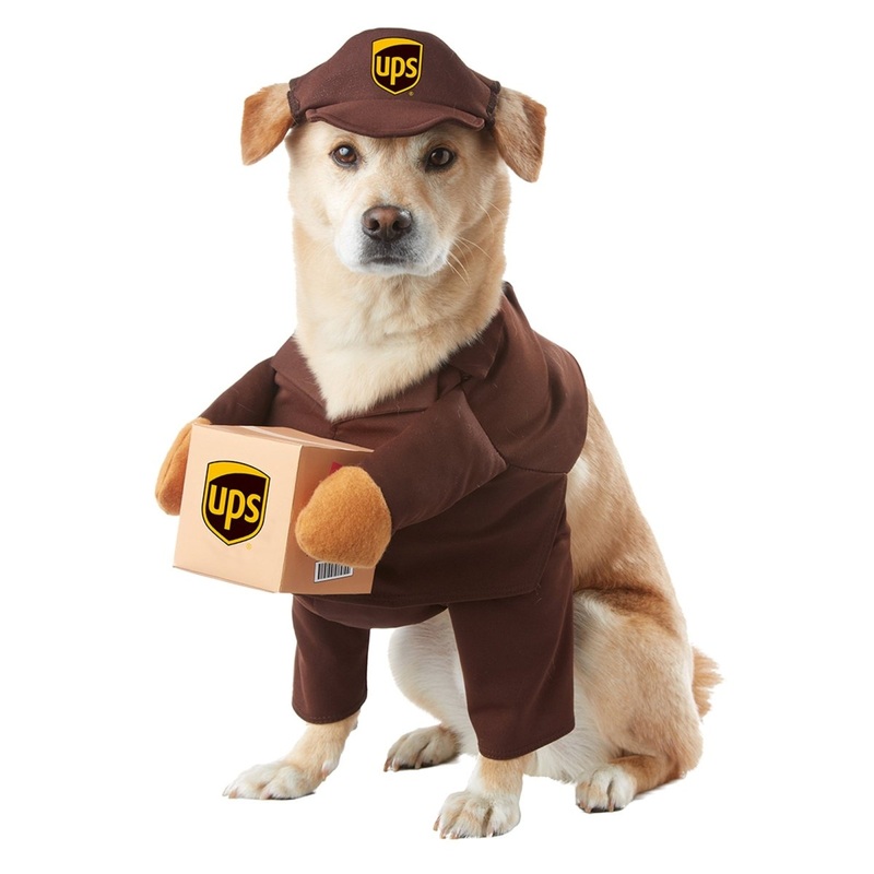 UPS Pal Costume for Dogs XS