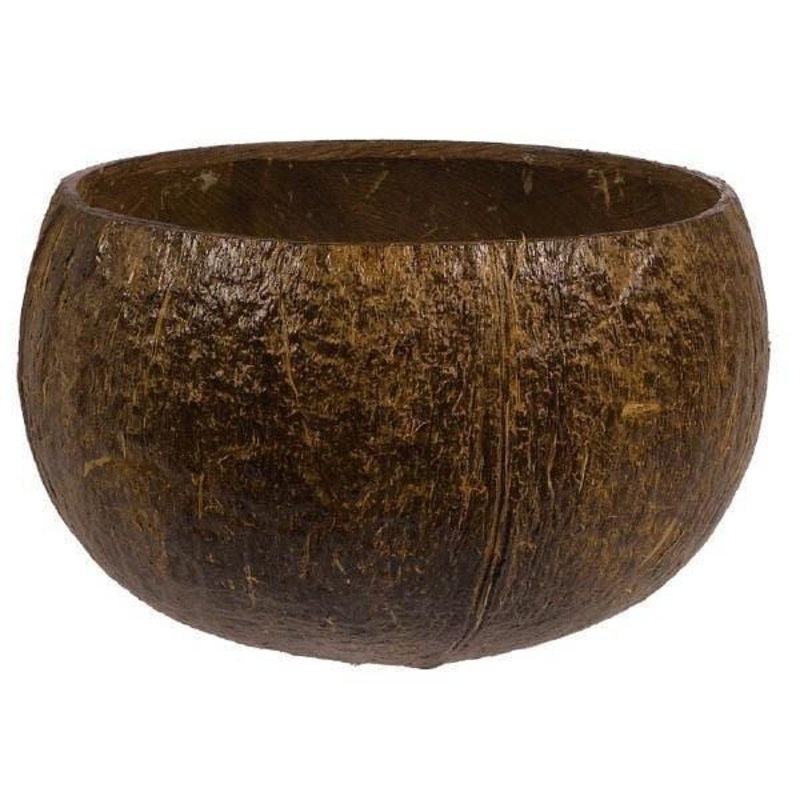Coconut Cup