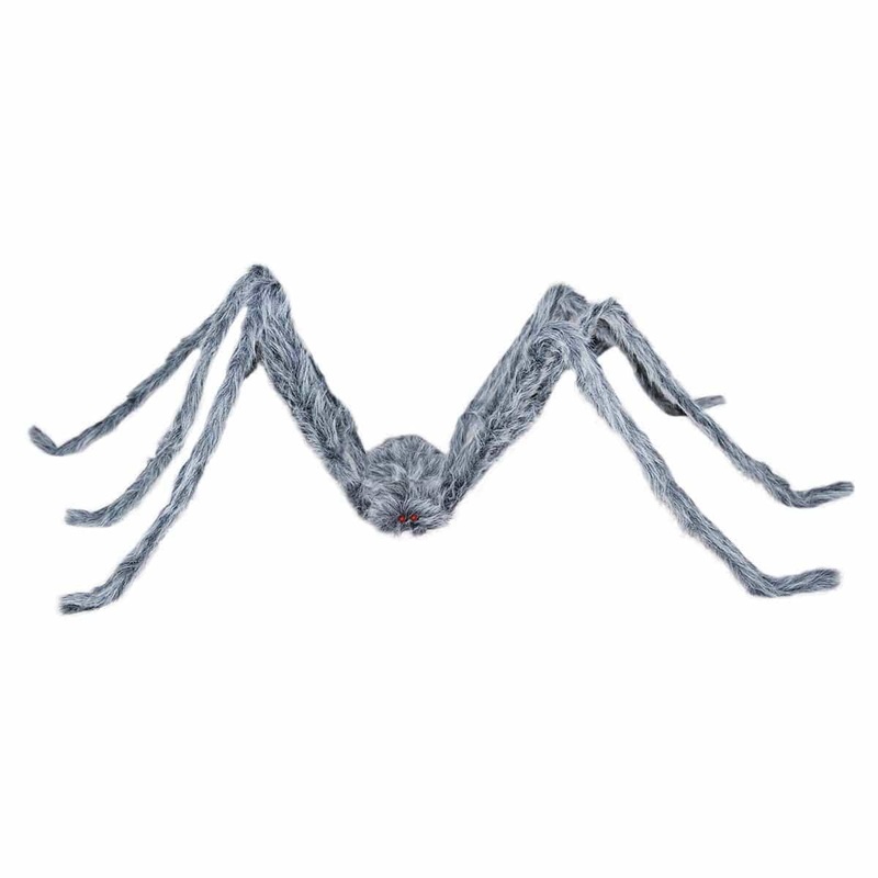 Large grey spider