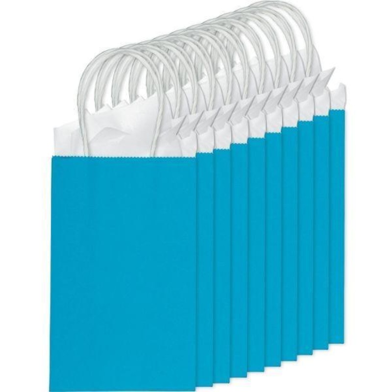 Value Pack Paper Cub Bags - Turquoise 10/pkg.