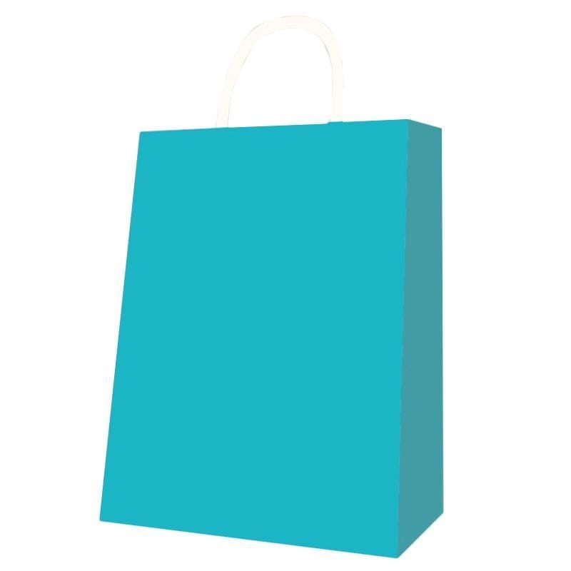 Kraft Gift Bag Medium - Teal