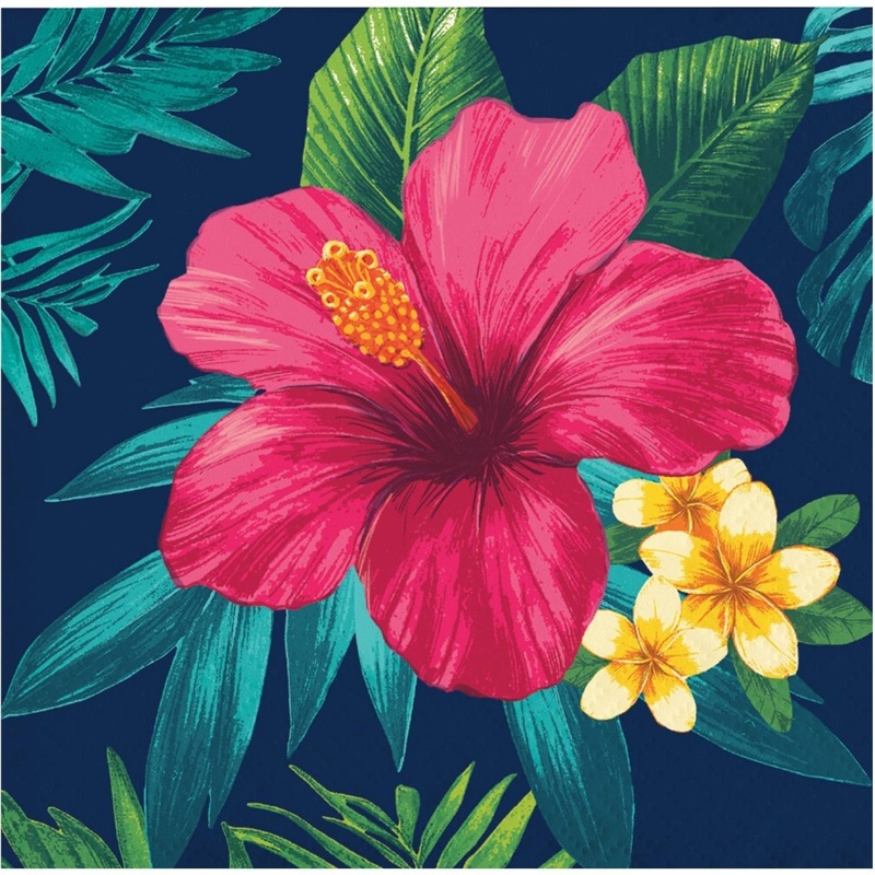 Tropic Time Small Beverage Napkins, 16 Count