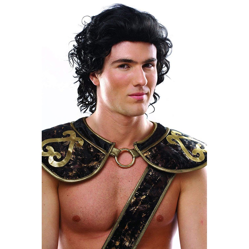 Hunk Mens Black Wig Adult One Size