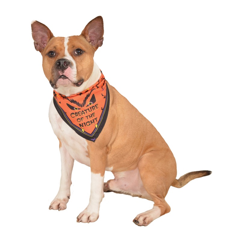 Creature Of The Night Pet Bandana Collar S-M