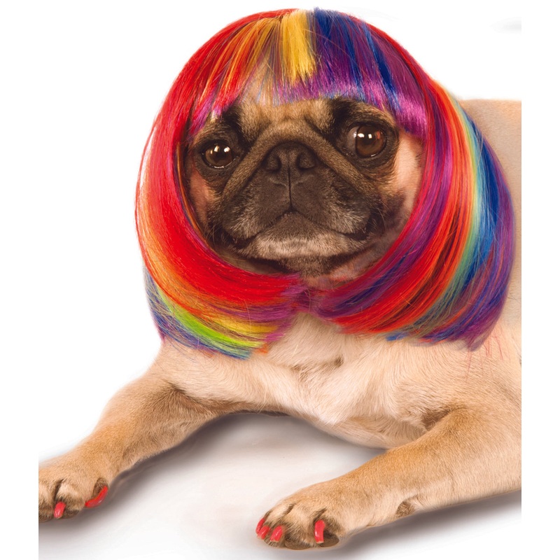 Pet Costume Rainbow Wig M-L