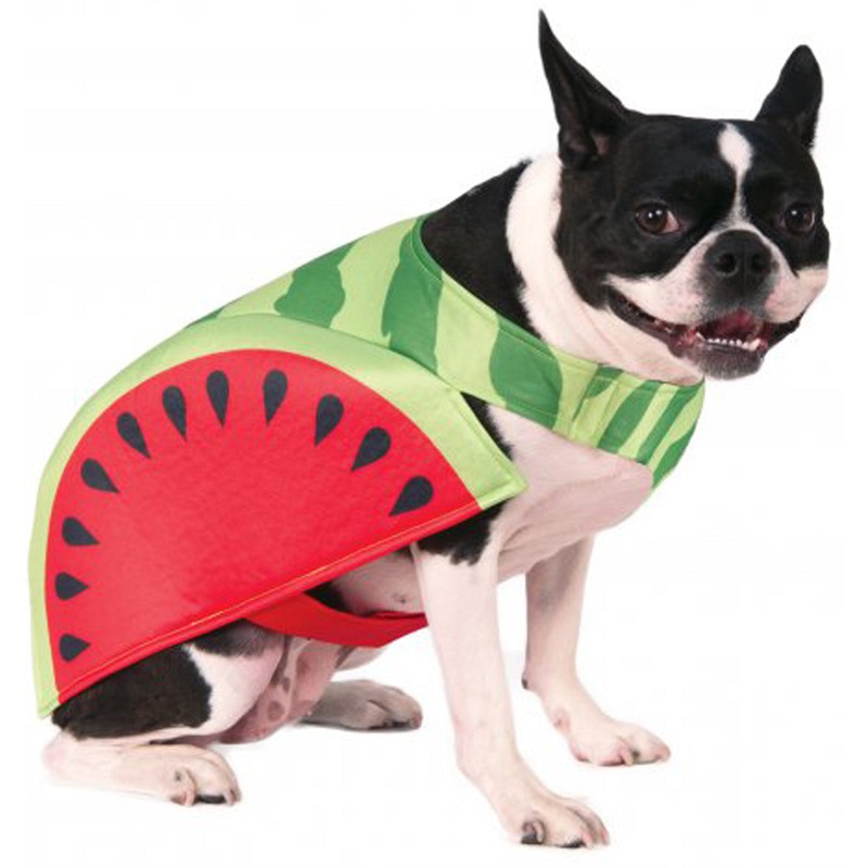 Watermelon Fruit Pet Costume Small