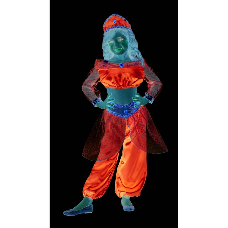 Arabian Princess Child Blue Costume Child Large