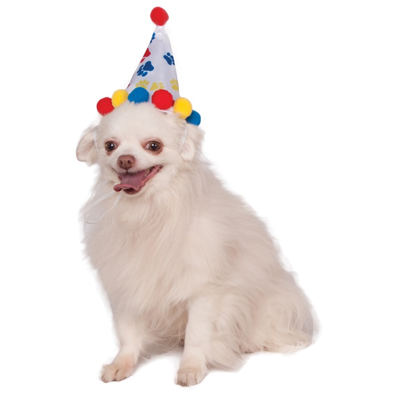 Boy Paw Print Pet Birthday Hat S-M