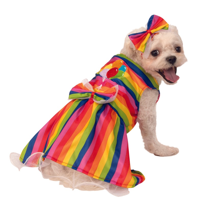 Rainbow Female Pet Party Dress Costume Pet Small