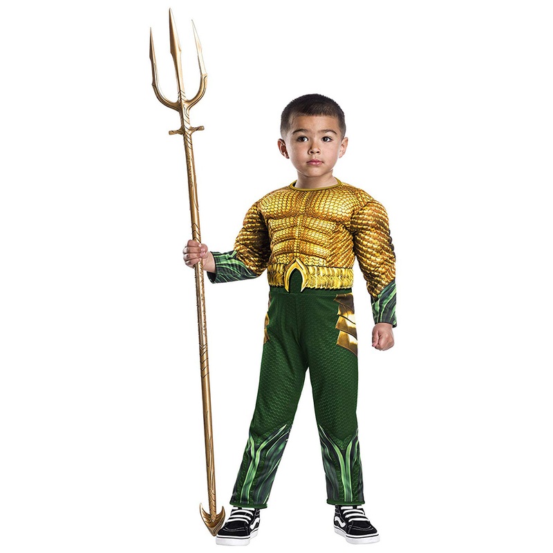 Aquaman Dc Superhero Toddler Costume Toddler