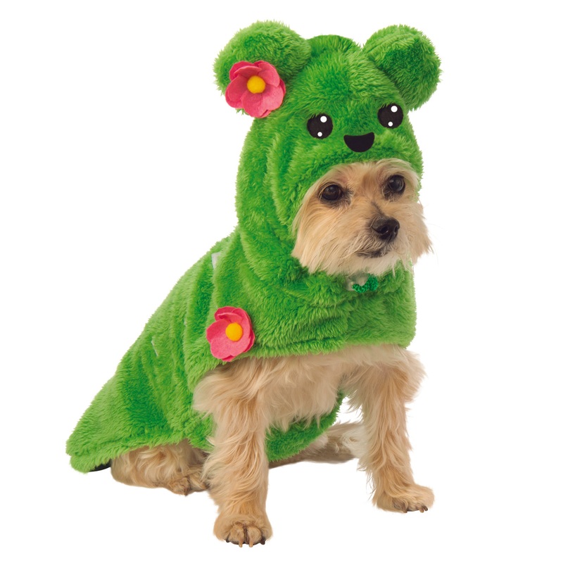 Cactus Pet Plant Costume Large