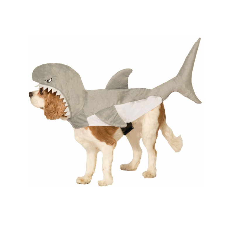 Shark Pet Costume Small