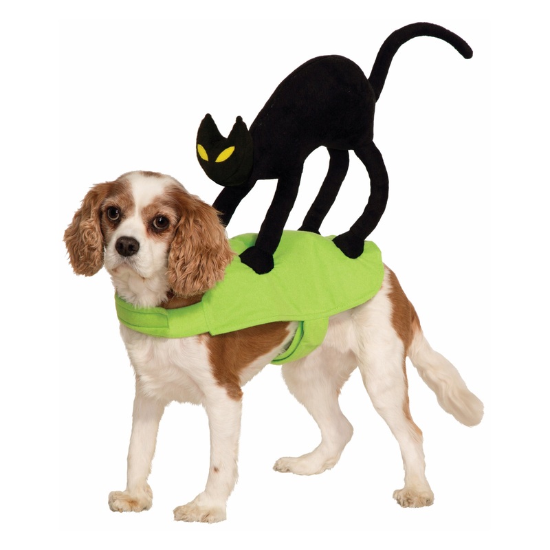 Cat On My Back Pet Costume Medium