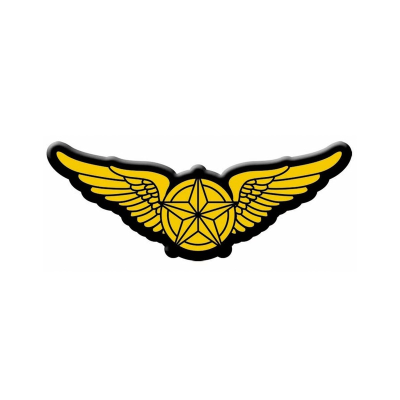 Pilot Wings Iron On Applique Accessory One Size
