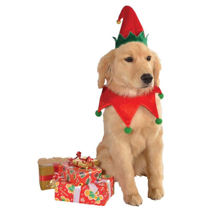Elf Hat with Bell and Collar for Pets S-M