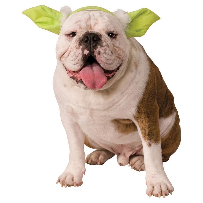 Yoda Ears Pet Headband - Star Wars Small-Medium (S-M)