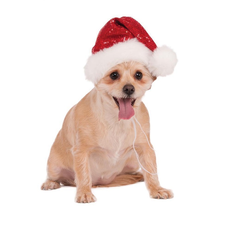 Sequin Santa Pet Hat Small-Medium (S-M)