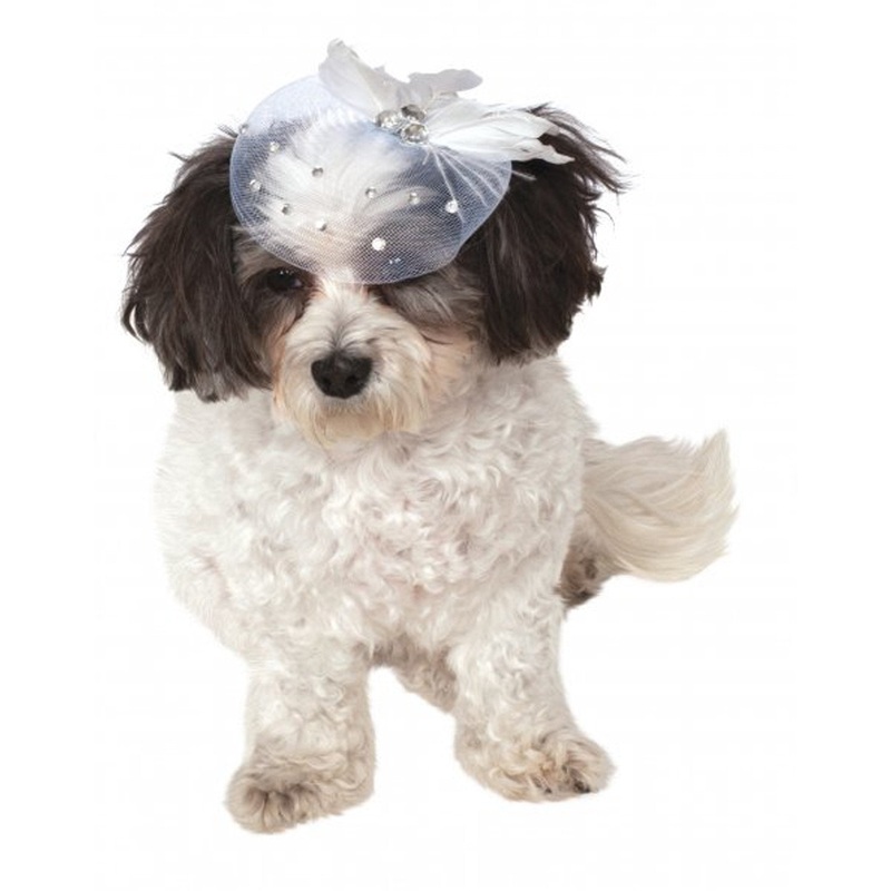 Fancy Formal Fascinator for Pets Small-Medium (S-M)