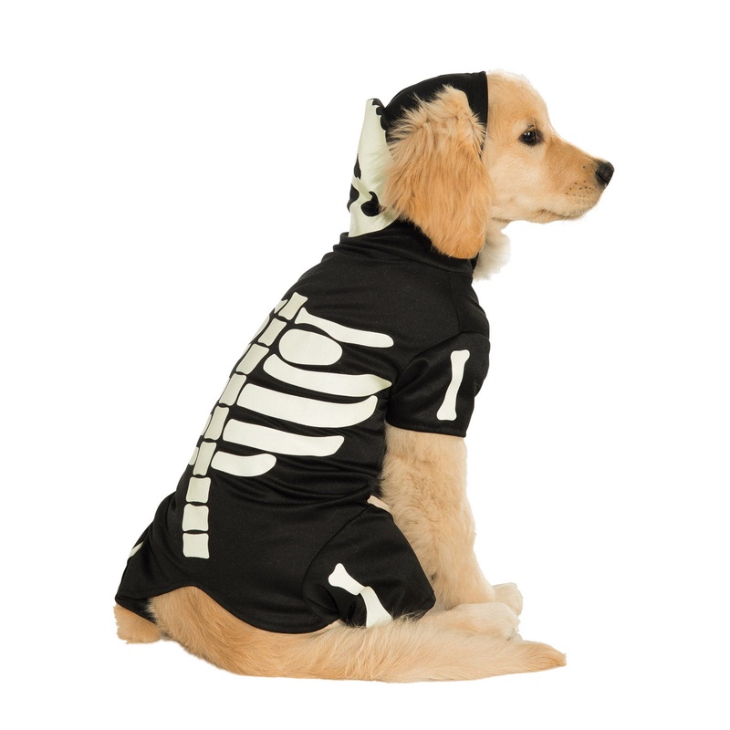 Skeleton Pet Costume Large