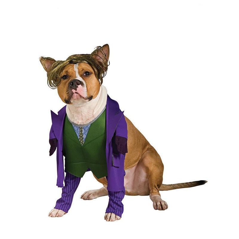 The Joker Pet Costume - DC Comics Small