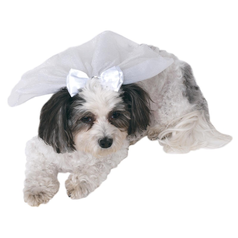 Wedding Veil Pet Accessory Small-Medium (S-M)