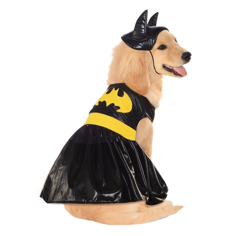 Batgirl Pet Costume - DC Comics Small