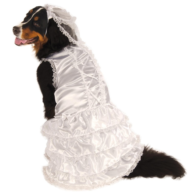 Bride Big Dog Pet Costume XXL