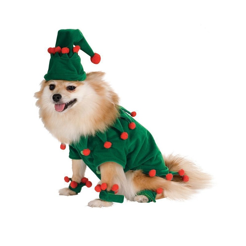 Elf Pet Costume Small
