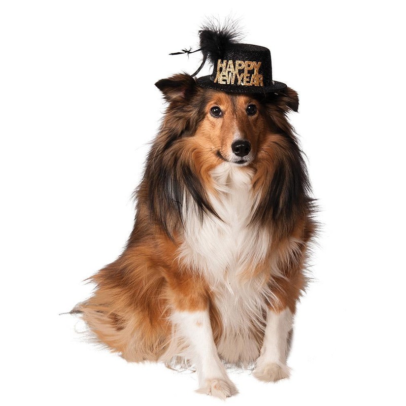 Happy New Year Pet Hat Small-Medium (S-M)