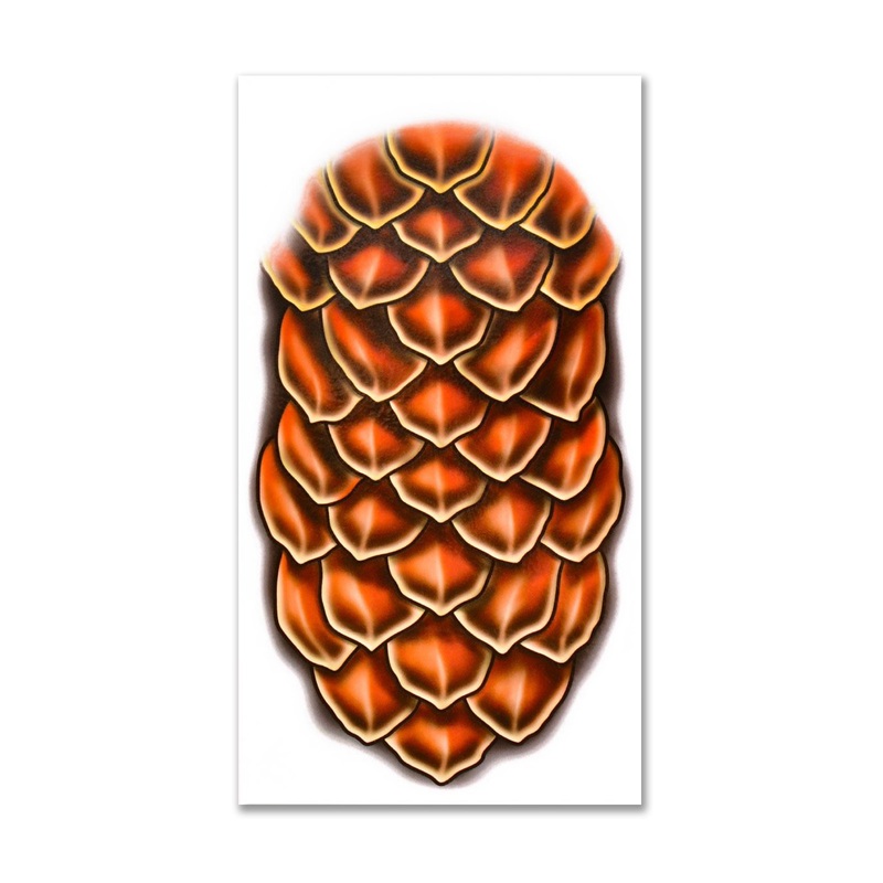 Dragon Scales Large Temporary Tattoo Kit Ages 14+